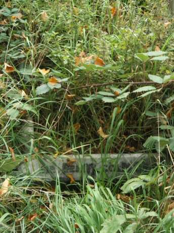 Grave of Henry Cole in Brompton Cemetery